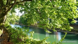 Rzeka Lublanica