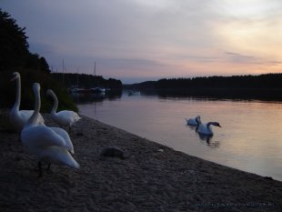 Borsk - Jezioro Wdzydzkie